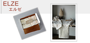 ELZE �G���[